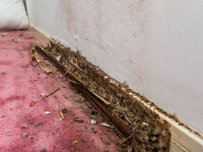 About The Water Damage Restoration Team - water damage restoration experts in Kelowna